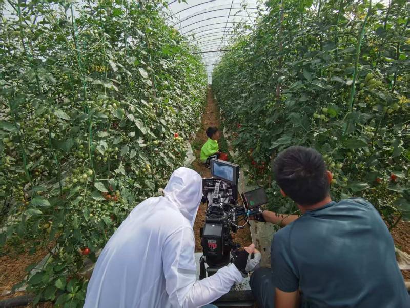 湘桥区产品宣传视频拍摄公司进阶指南，助力品牌抢占传播高地